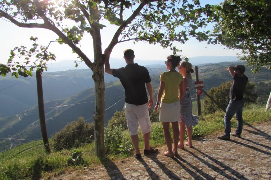 Porto: 3 Douro Valley Vineyards Tour with Lunch - Stop 2 in the vineyards: lunch with wine, then more ports