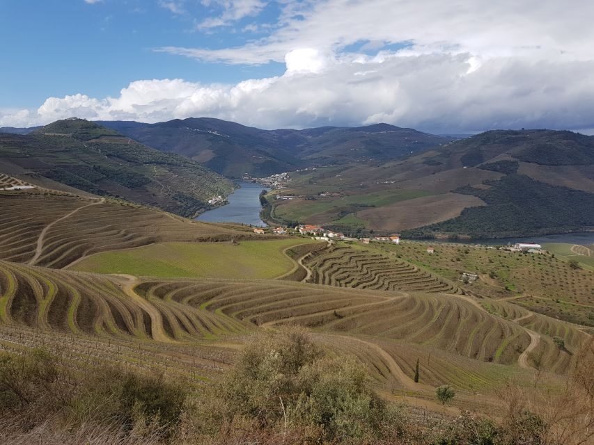 Porto: 3 Douro Valley Vineyards Tour with Lunch - Stop 3: a corporate brand vineyard plus a Port tasting with big views