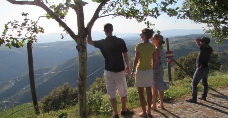 Porto: 3 Douro Valley Vineyards Tour with Lunch - Stop 1: a family-owned vineyard and your first tasting round