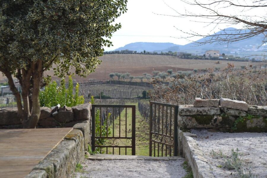 Porto: 3 Douro Valley Vineyards Tour with Lunch - Price and value: is $129 a fair deal?
