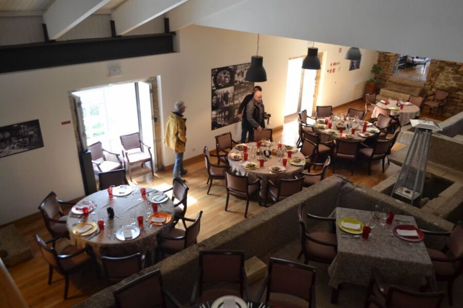 Porto: 3 Douro Valley Vineyards Tour with Lunch - What to expect from guides and group size