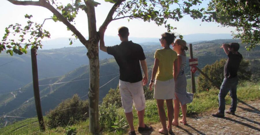 Porto: 3 Douro Valley Vineyards Tour with Lunch - Stop 1: a family-owned vineyard and your first tasting round