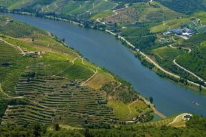 Porto: Day Trip to Douro including lunch and Rivercruise - Lunch in a local restaurant: Portuguese food plus Douro table wine
