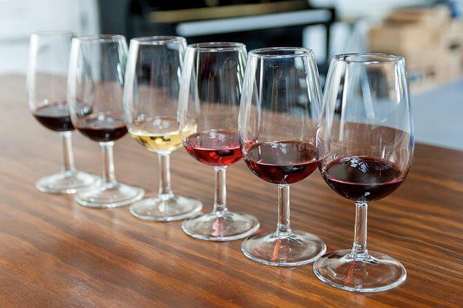 Porto: Day Trip to Douro including lunch and Rivercruise - Pinhão and Cais do Pinhão: the river cruise that actually changes the day
