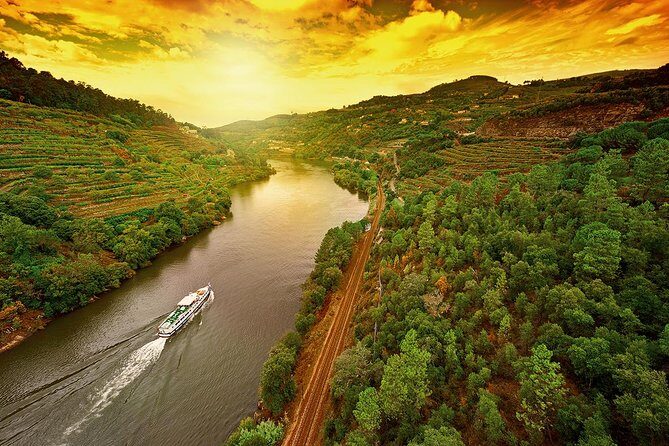 Porto: Day Trip to Douro including lunch and Rivercruise - Vineyard estate walk: guided steps, then multiple wines