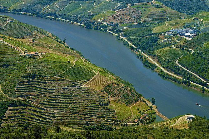 Porto: Day Trip to Douro including lunch and Rivercruise - Lunch in a local restaurant: Portuguese food plus Douro table wine