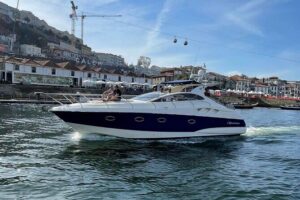 Porto Douro Private Cruise with Port Wine - From the Douro Marina to the nature reserve and Arrábida Bridge