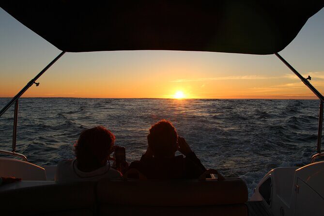 Porto Douro Private Cruise with Port Wine - Serra do Pilar and the monastery look-up effect