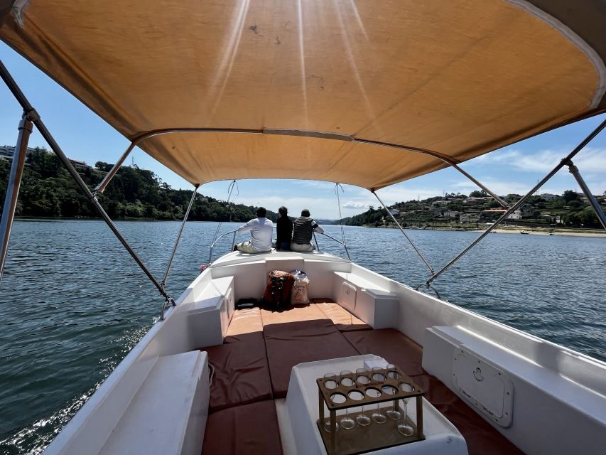 Porto: Douro River Boat Cruise with Port Wine Tasting - Marina do Freixo: starting the Douro right where the action is