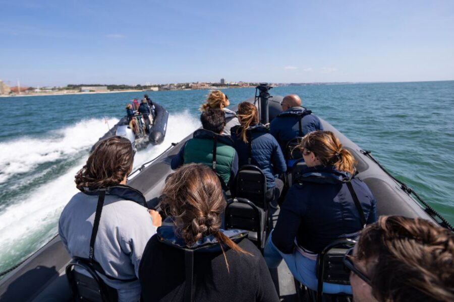 Porto: Douro River Speedboat Tour - What you’ll actually see: the Porto details people miss from shore