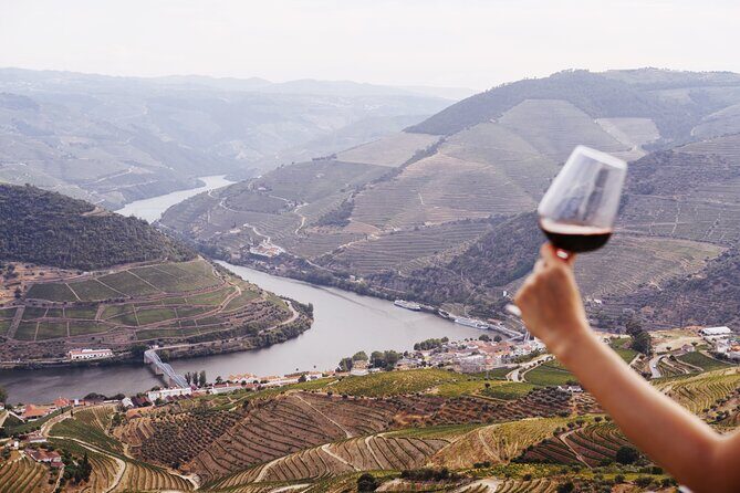 Porto: Douro Valley, 2 Wine Regions, Sommelier, Boat Trip & Lunch - Wine Tastings for First-Timers and Port Fans: How to Get the Most