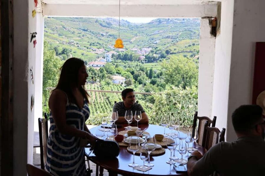 Porto: Douro Valley, 2 Wineries, Lunch, and 1-Hour Boat Tour - Who this Douro Valley day trip suits best