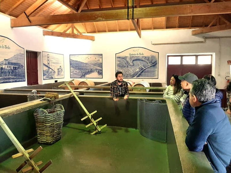 Porto: Douro Valley, 2 Wineries, Lunch & Private Boat Trip - Viewpoint Break: Where the Guide Helps You Read the Douro