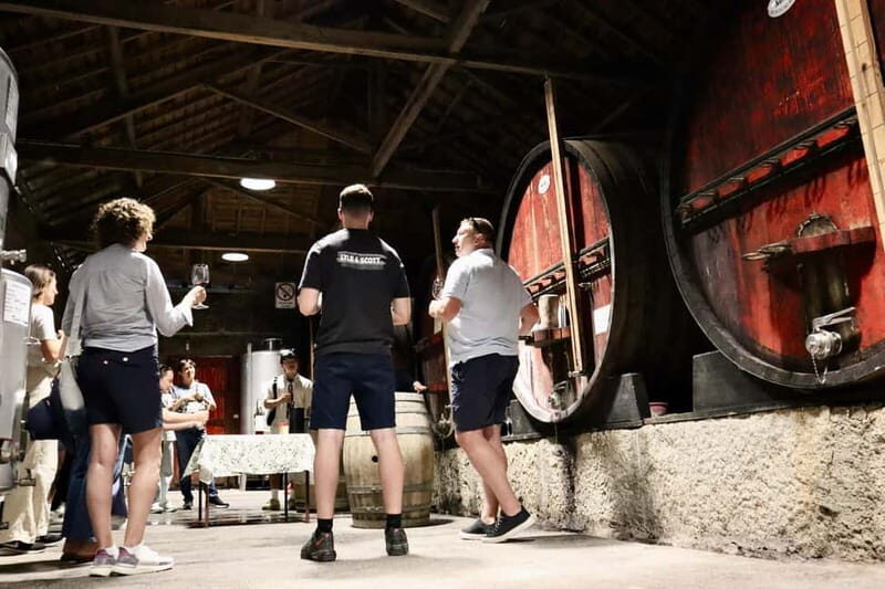 Porto: Douro Valley, 2 Wineries, Lunch & Private Boat Trip - The Best Part for Most People: Small Group + Private Feel