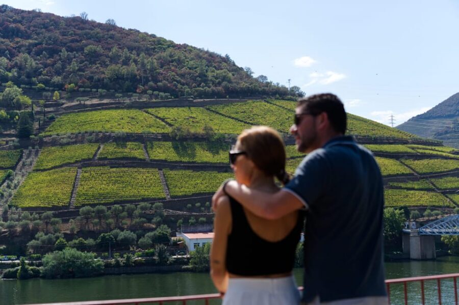Porto: Douro Valley & Amarante Wine, Food & River Tour - A Douro quinta visit where Port takes center stage