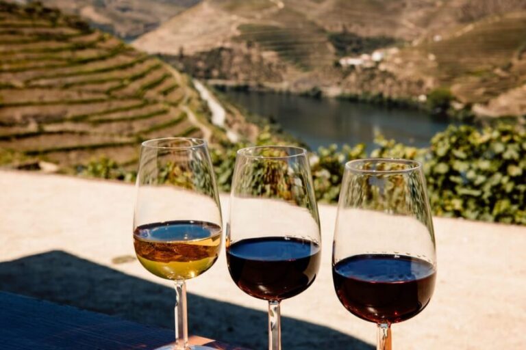 Porto: Douro Valley & Amarante Wine, Food & River Tour - N222 photo stops: the best way to see Douro without rushing