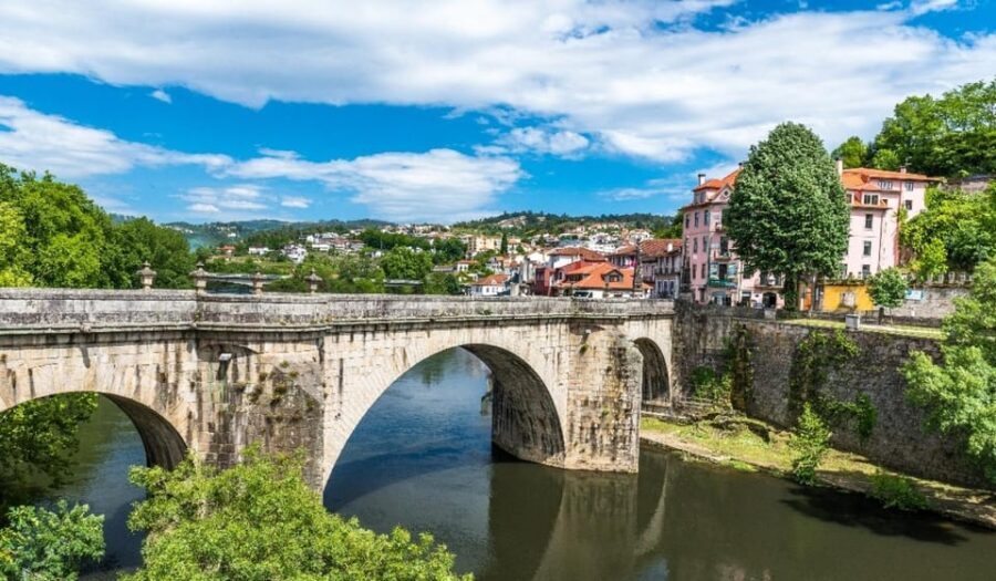 Porto: Douro Valley & Amarante Wine, Food & River Tour - Timing and pacing: the long day that still feels organized