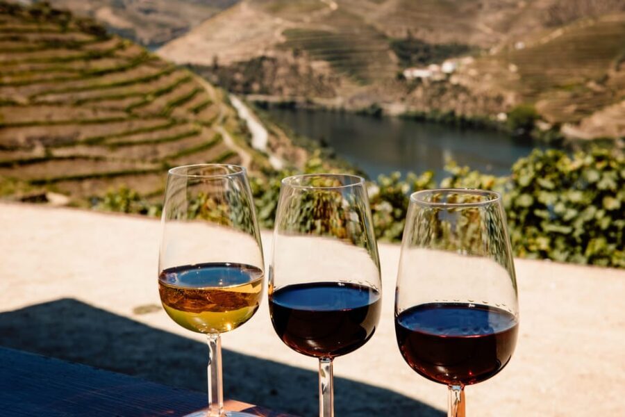 Porto: Douro Valley & Amarante Wine, Food & River Tour - N222 photo stops: the best way to see Douro without rushing