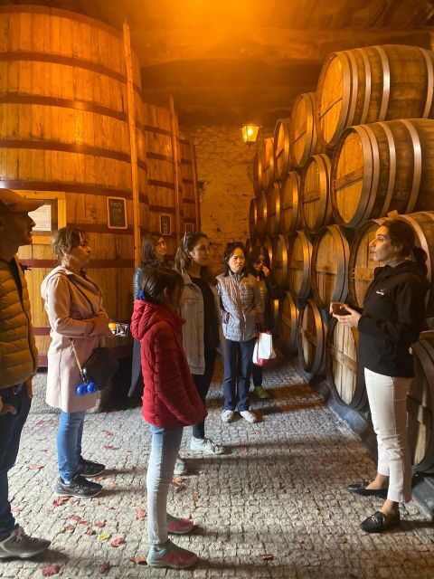 Porto: DOURO VALLEY and AMARANTE City Half-day Tour - Should You Book This Half-Day Douro and Amarante Tour?