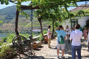 Porto: DOURO VALLEY and AMARANTE City Half-day Tour - Meeting in Porto and Riding Comfortably in an 8-Seater Van