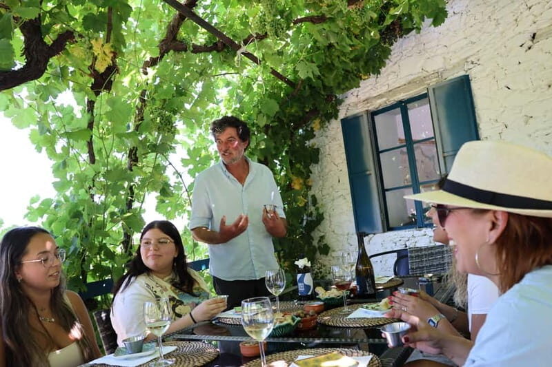 Porto: DOURO VALLEY and AMARANTE City Half-day Tour - Pinhão Winery Stop: Tasting With Stories, Not Just Sips