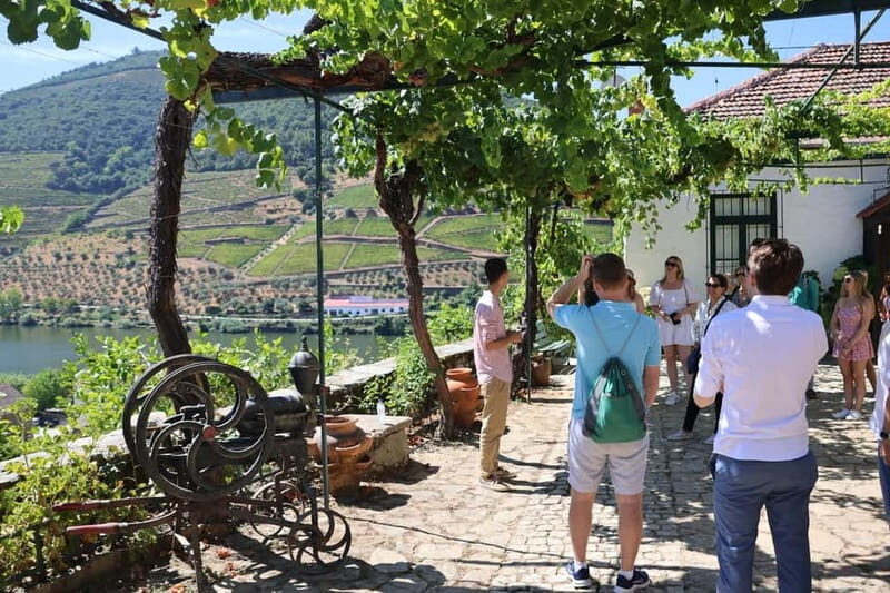 Porto: DOURO VALLEY and AMARANTE City Half-day Tour - Meeting in Porto and Riding Comfortably in an 8-Seater Van