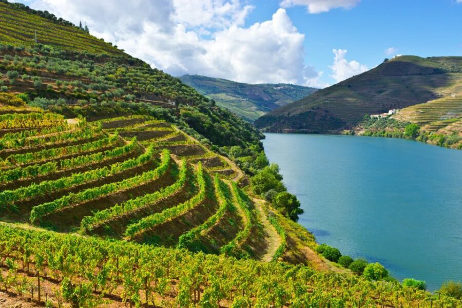 Porto: Douro Valley History & Wine Tour with Cruise & Lunch - Douro Day Trip From Porto: What 10 Hours Actually Means