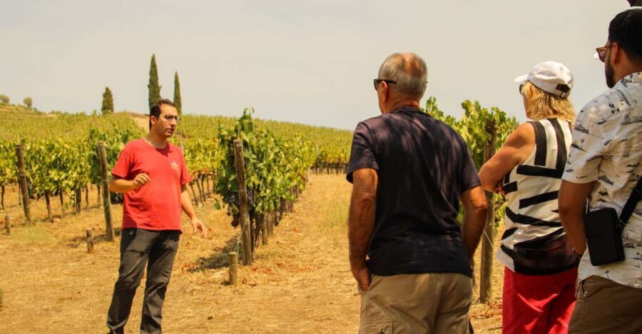 Porto: Douro Valley History & Wine Tour with Cruise & Lunch - São Leonardo da Galafura Viewpoint: The Photo Stop That Pays Off