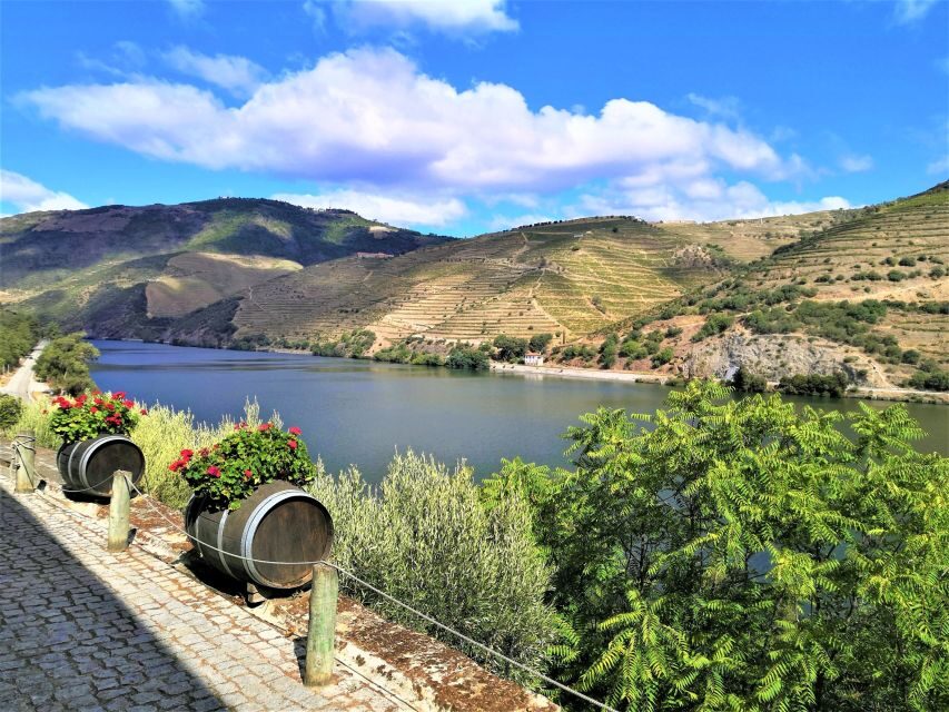 Porto: Douro Valley Private Grand Experience - Private - Practical Tips for a Smooth Douro Day