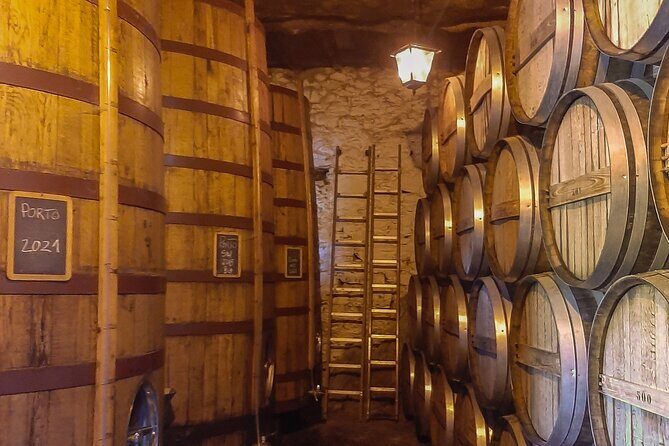 Porto: Douro Valley Private Grand Experience - Private - Quinta do Beijo: a family winery tour with tastings and real cellar time