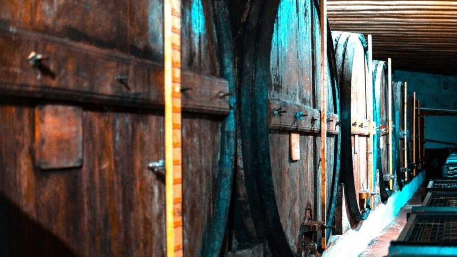 Porto: Douro Valley Private Grand Experience - Private - Who This Tour Fits Best (And Who Should Skip It)