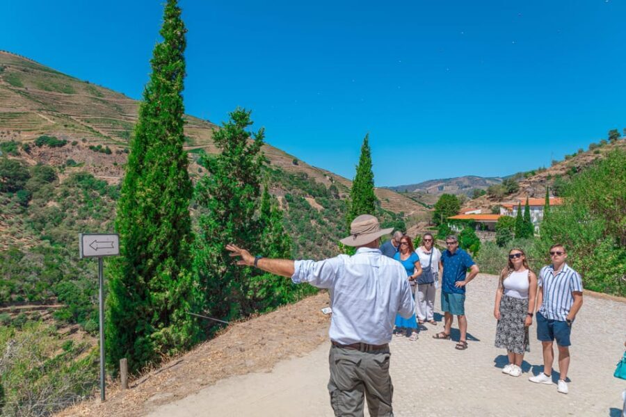 Porto: Douro Valley Private Tour, Tastings, Cruise & Lunch - Lunch at Casa do Negrilho (or similar): Portuguese food with the right context