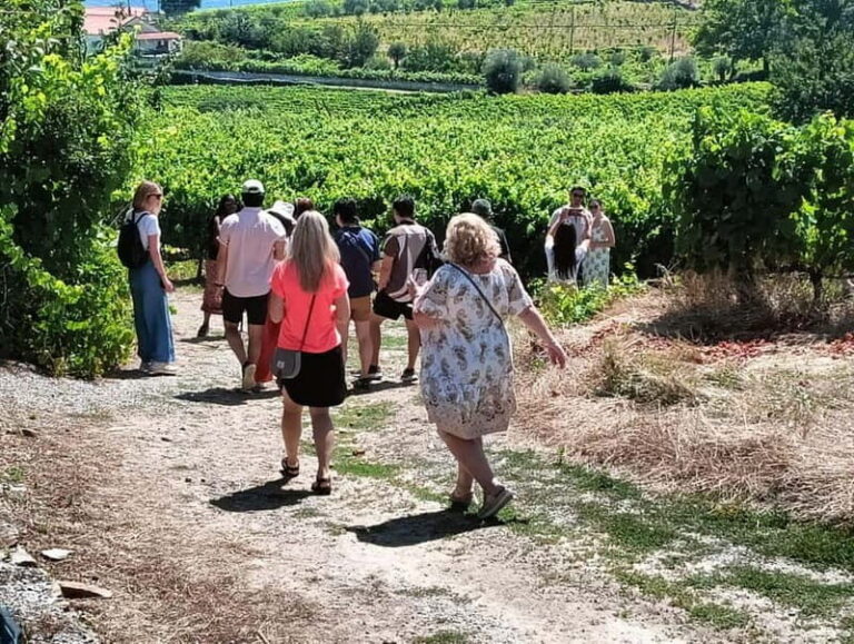 Porto: Douro Valley Tour at 2 Wineries with Lunch and Cruise - Porto to Régua: National Road 222 and the scenic rhythm