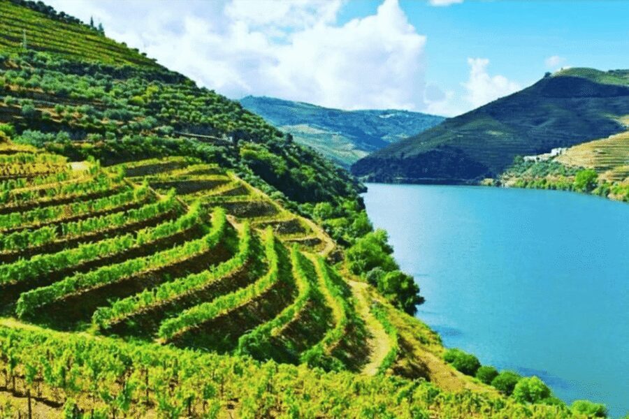 Porto: Douro Valley Tour w/ 3 Tastings, Lunch, & Opt. Cruise - Winery time: lunch that’s actually paired (not just served)