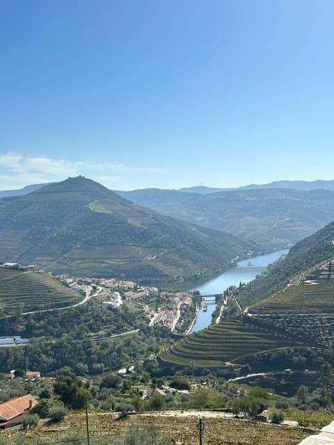 Porto: Douro Valley Tour w/ 3 Tastings, Lunch, & Opt. Cruise - Why the max-8 group size changes everything