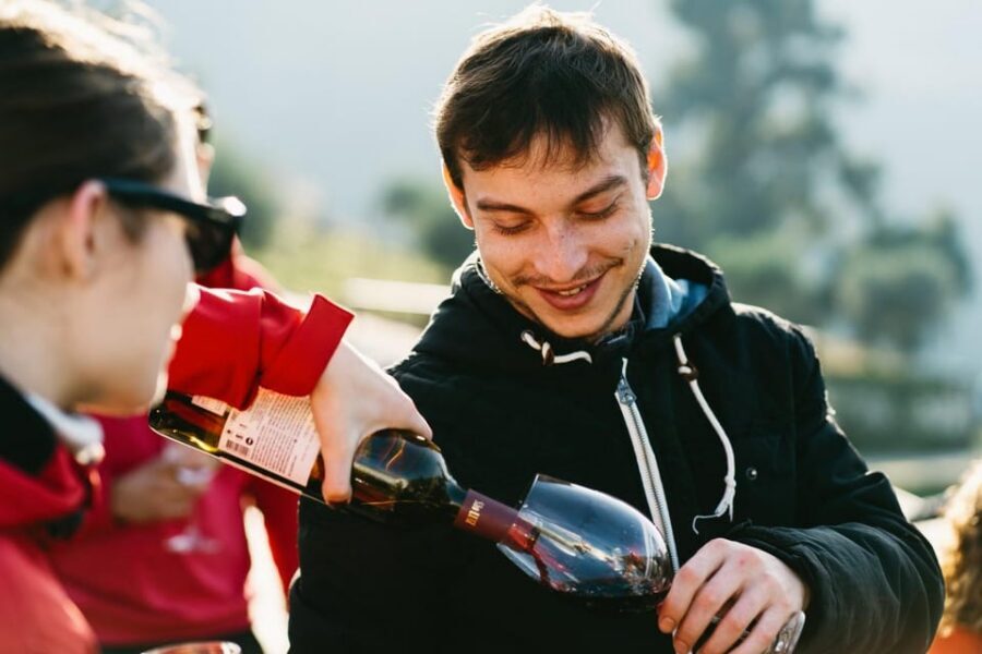 Porto: Douro Valley Tour with 2 Wineries, Lunch and Cruise - Best ways to enjoy the day more (and avoid common pitfalls)