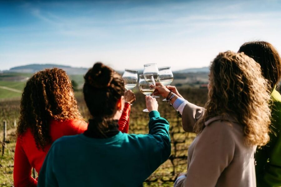 Porto: Douro Valley Tour with 2 Wineries, Lunch and Cruise - From Trindade to the Douro: small-group logistics that actually work