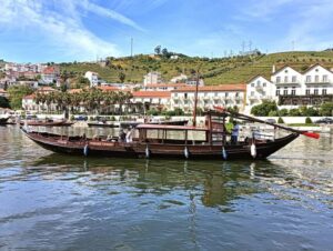Porto: Douro Valley Tour with 2 Wineries, Lunch and Cruise - The N222 drive and quick breaks: building your view before the tastings