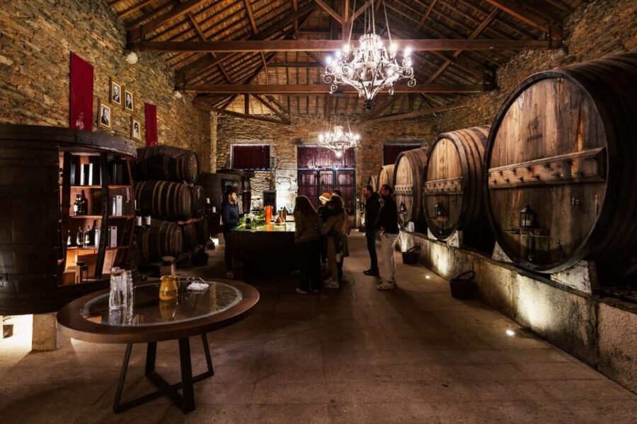 Porto: Douro Valley Tour with 2 Wineries, Lunch and Cruise - Pinhão river cruise: the Douro looks different from the water