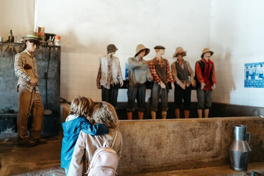 Porto: Douro Valley Tour with 2 Wineries, Lunch and Cruise - Photo stops and timing: how the day stays relaxed