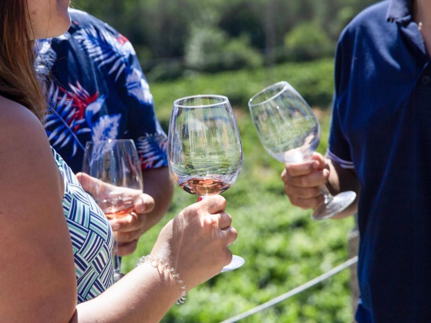 Porto: Douro Valley Tour with 3 vineyards and lunch. - Sabrosa for lunch and tastings: where the day turns into a full meal experience