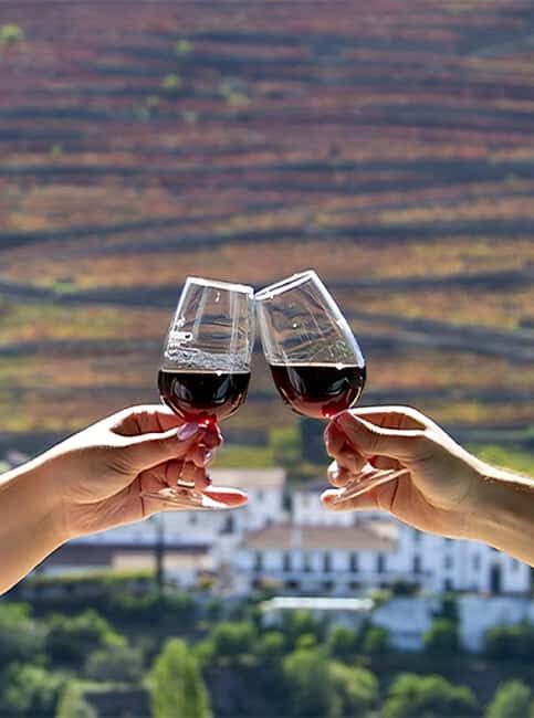 Porto: Douro Valley Tour with 3 vineyards and lunch. - Three estates with Port, table wine, and olive oil: what you’re actually paying for