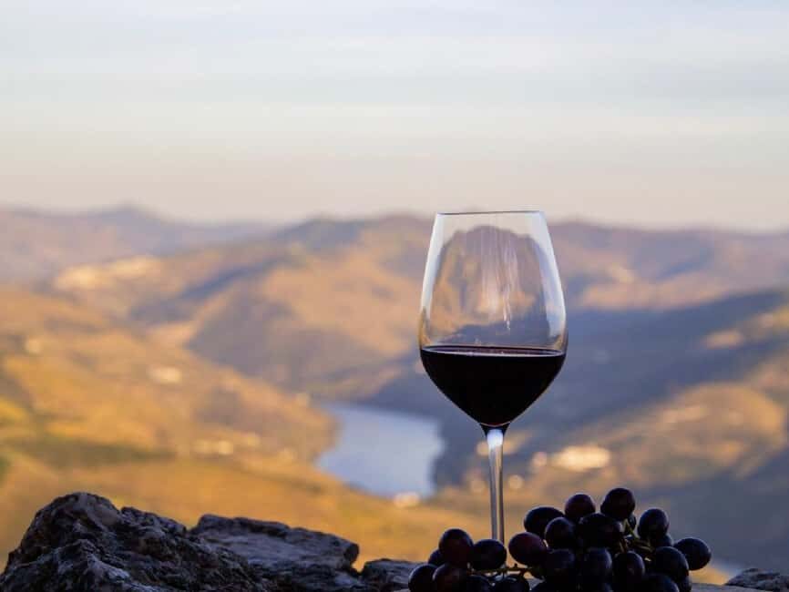 Porto: Douro Valley Tour with 3 vineyards and lunch. - Small group pacing (up to 8): why the day feels relaxed instead of rushed
