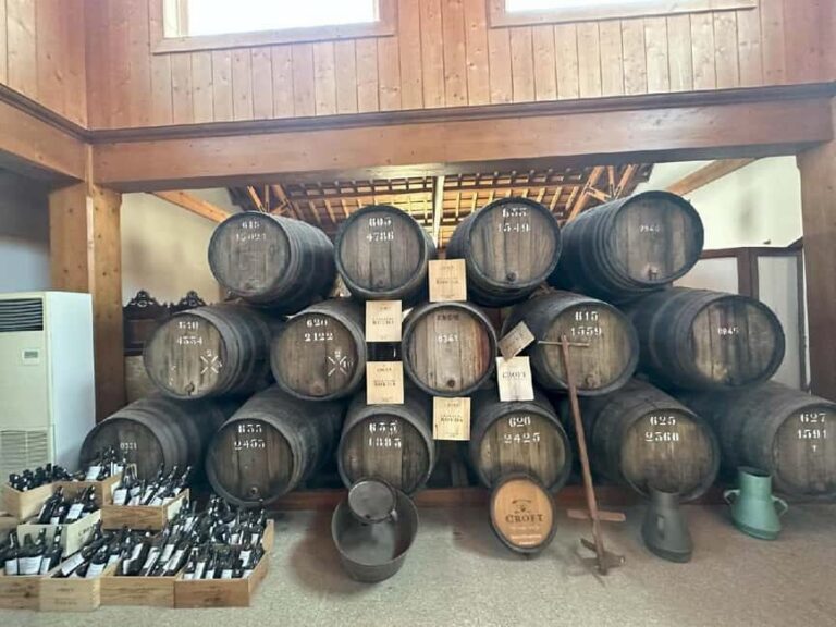Porto: Douro Valley Tour with 3 vineyards and lunch. - Douro River viewpoints: the 20-minute break that helps everything click