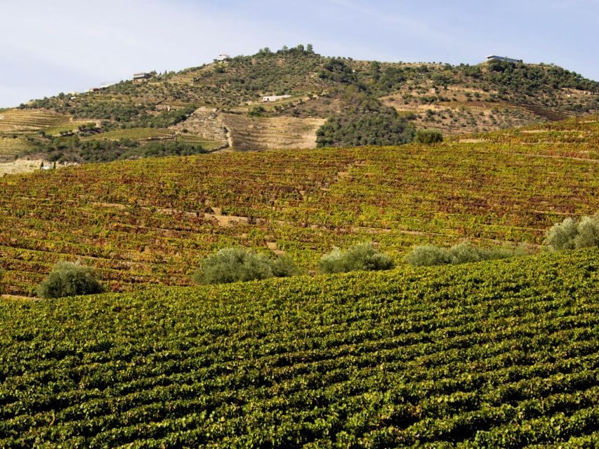Porto: Douro Valley Tour with 3 vineyards and lunch. - What to wear and bring for a Douro day (and what to skip)