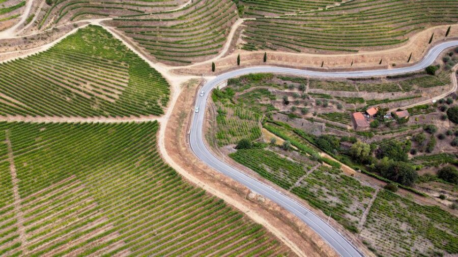 Porto: Douro Valley Tour with 3 vineyards and lunch. - Languages and guide style: Marco, Nuno, Emanuel, and the art of pacing