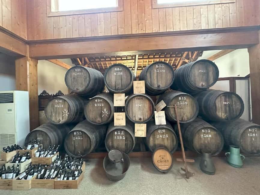 Porto: Douro Valley Tour with 3 vineyards and lunch. - Douro River viewpoints: the 20-minute break that helps everything click