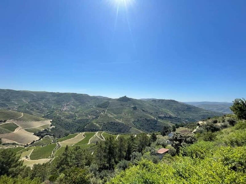 Porto: Douro Valley Tour with 3 Wineries and Lunch - Price and value: is $155 fair for 3 vineyards plus lunch?