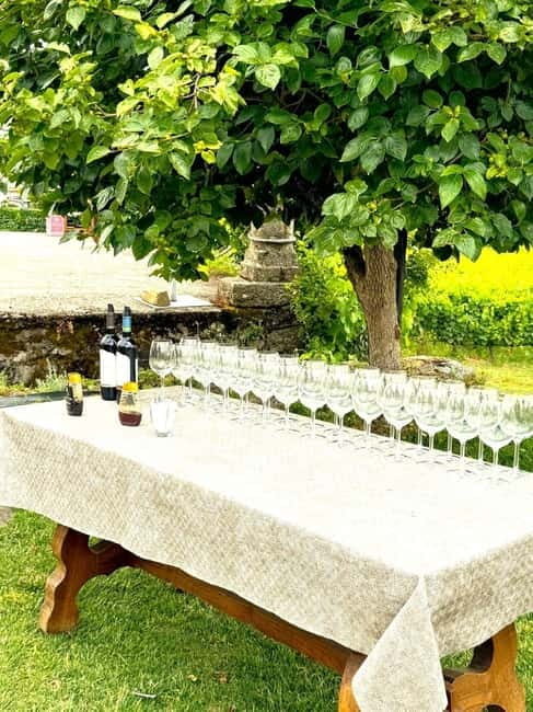 Porto: Douro Valley Tour with 3 Wineries and Lunch - Stop 1 in Pinhão: wine tasting plus a Port-style introduction