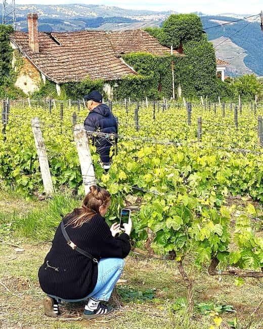Porto: Douro Valley Tour with 3 Wineries and Lunch - Small-group experience and guide-led explanations